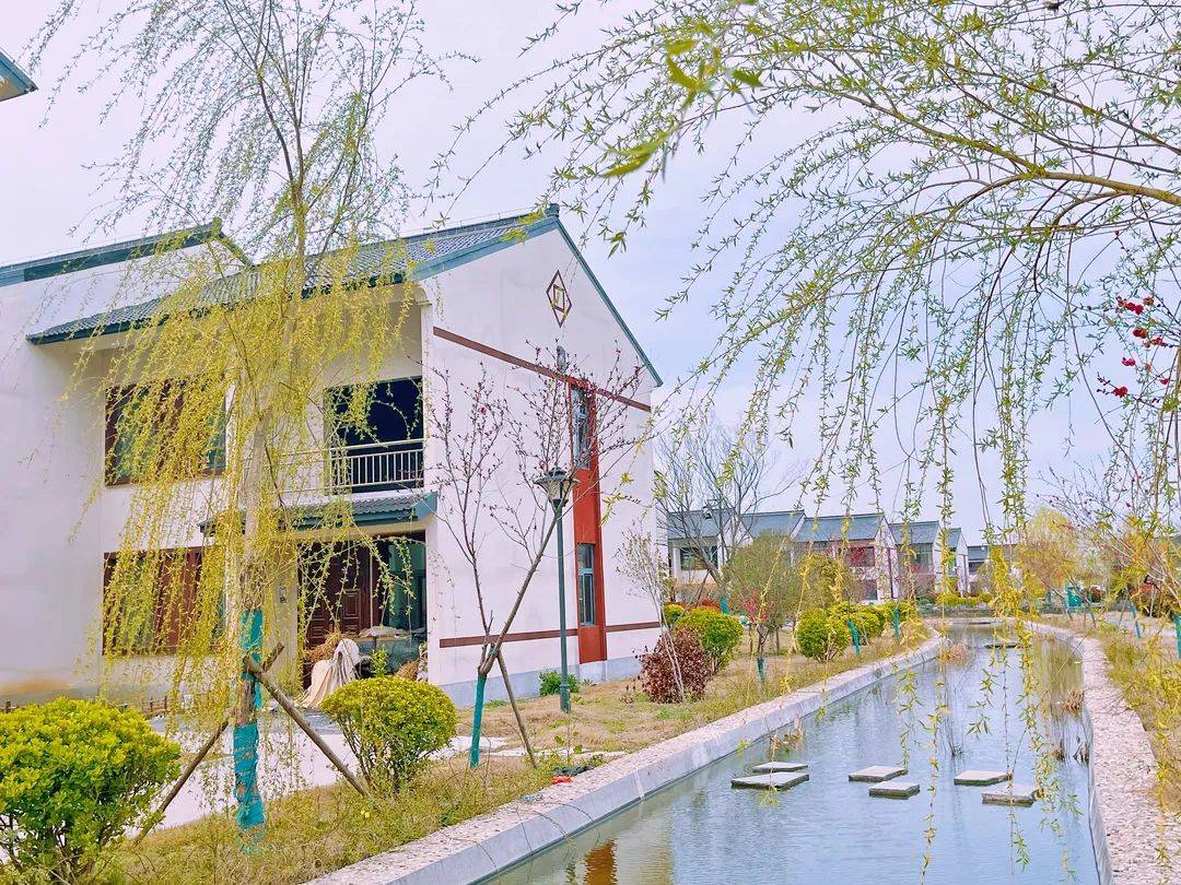 盐城市盐都区尚庄镇我们疫路同行静待春暖花开