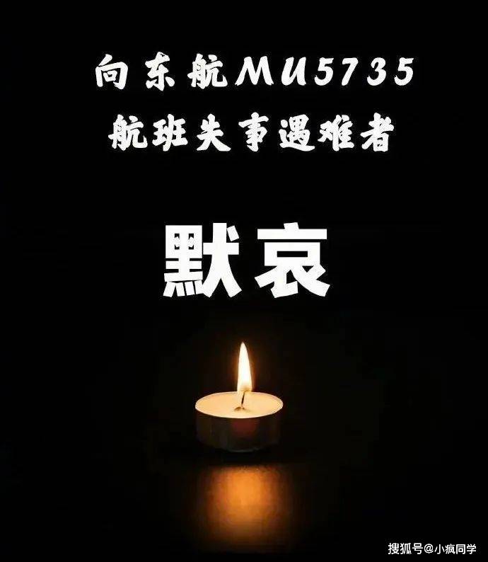 向东航mu5735航班失事遇难者默哀铺满你们回家的路
