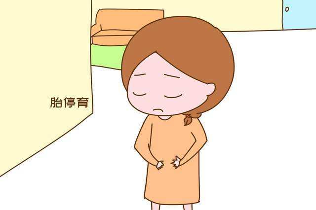 什么情况会胎停 91c51473fe9545f3b5e995e3413349ff.jpeg