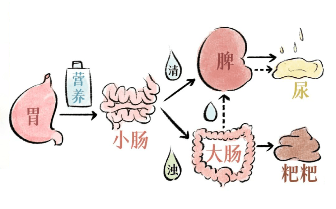 长期便秘别只知道用开塞露中医1个润肠通便方让你大便通畅