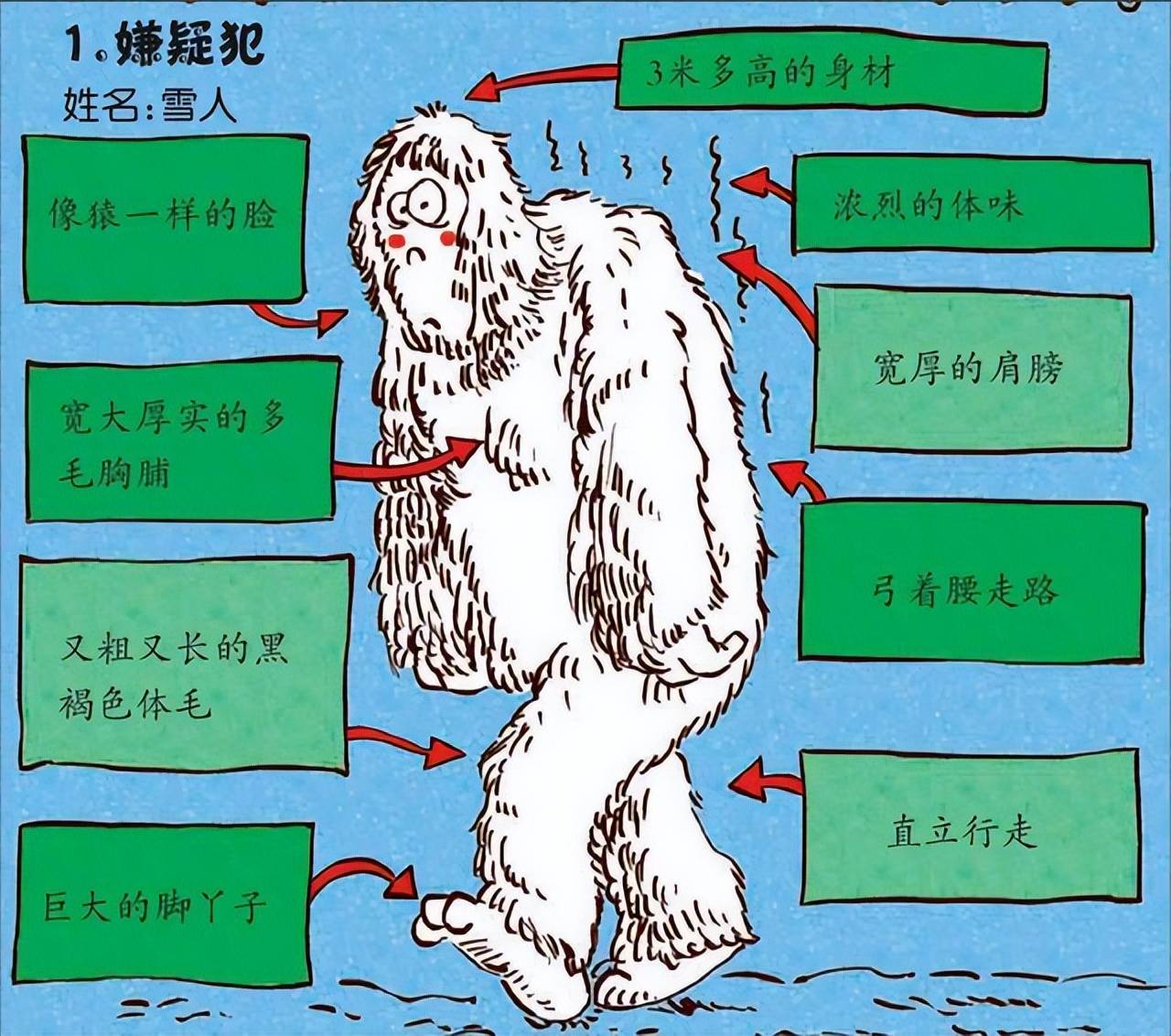 7米左右,究竟是不是真的_人类_进化_传说