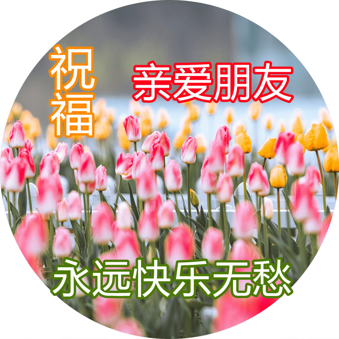 原创真挚的早安祝福文字图片深深的早上好问候美图