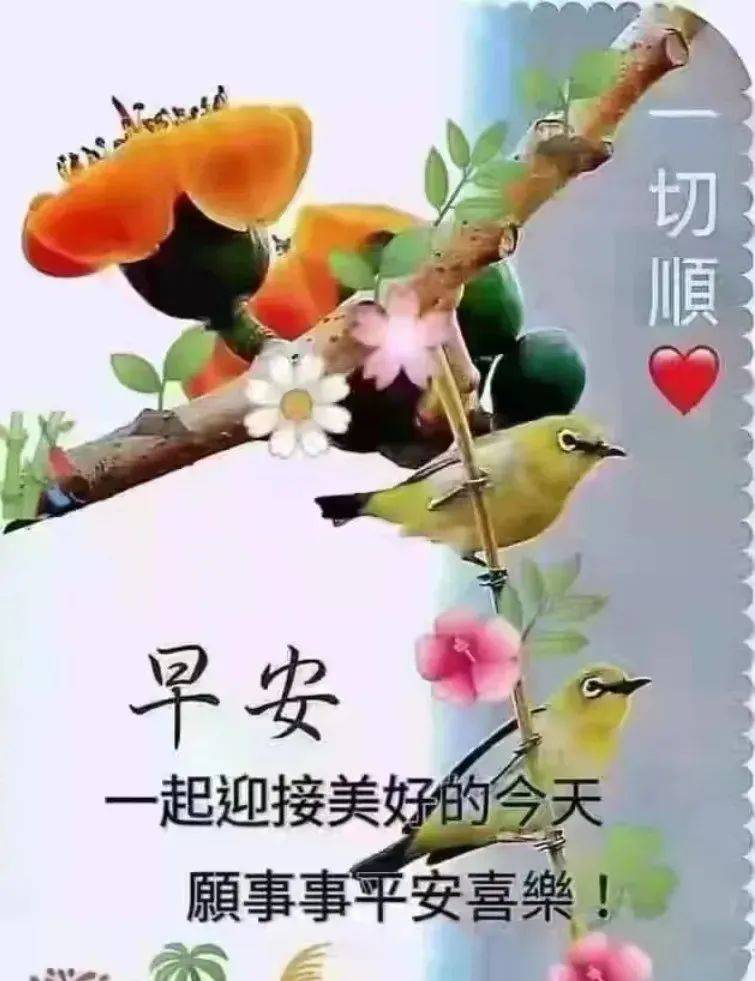 春天带燕子的早安图片图片