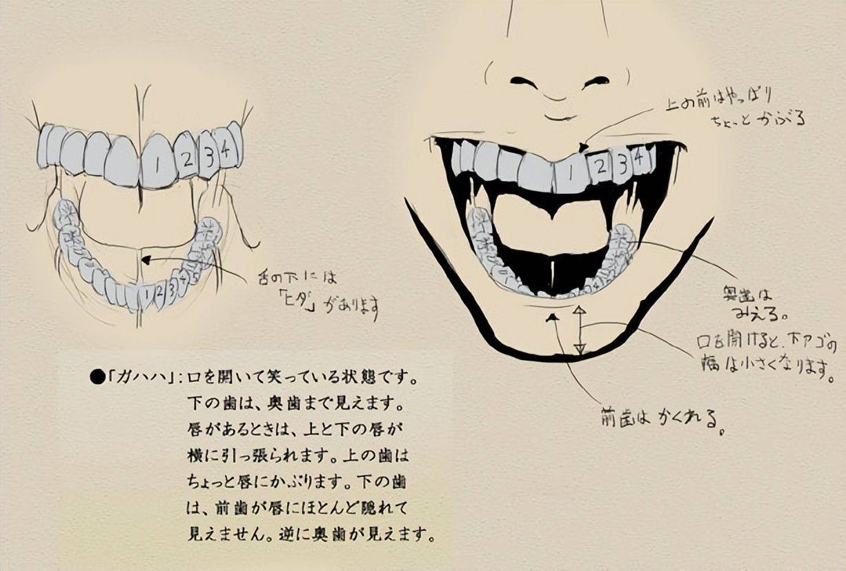 动漫人物牙齿怎么画教你描绘人物牙齿的要点