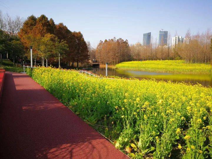 上海世博后滩湿地公园规划设计案例解析