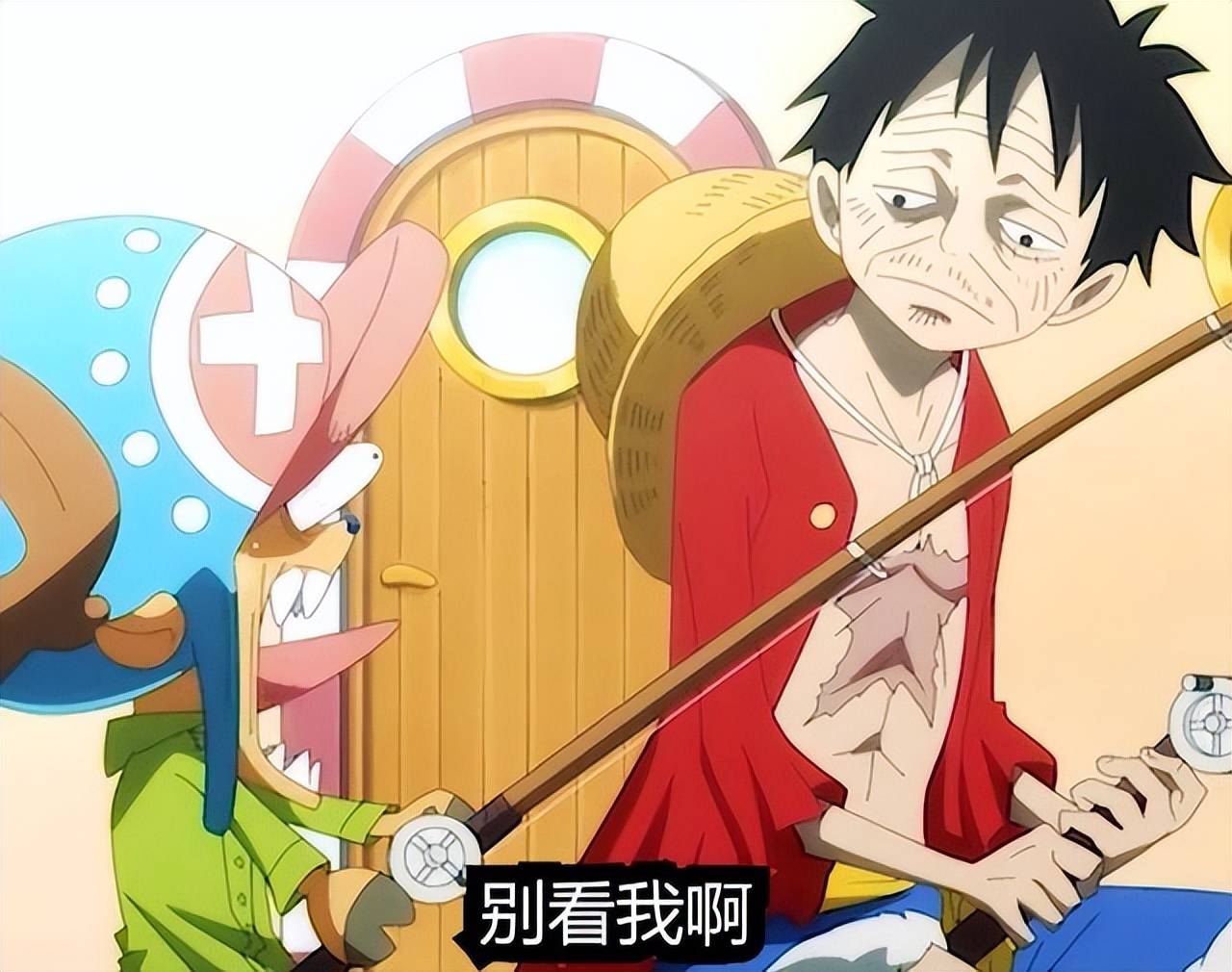 海贼王中令海迷笑出腹肌的梗,应急储备粮食是乔巴_索隆_路飞_乌索普