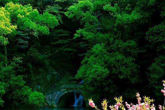 浙江有一美景地，以九溪十八涧命名，所见皆流水淙淙、草木葱茏
