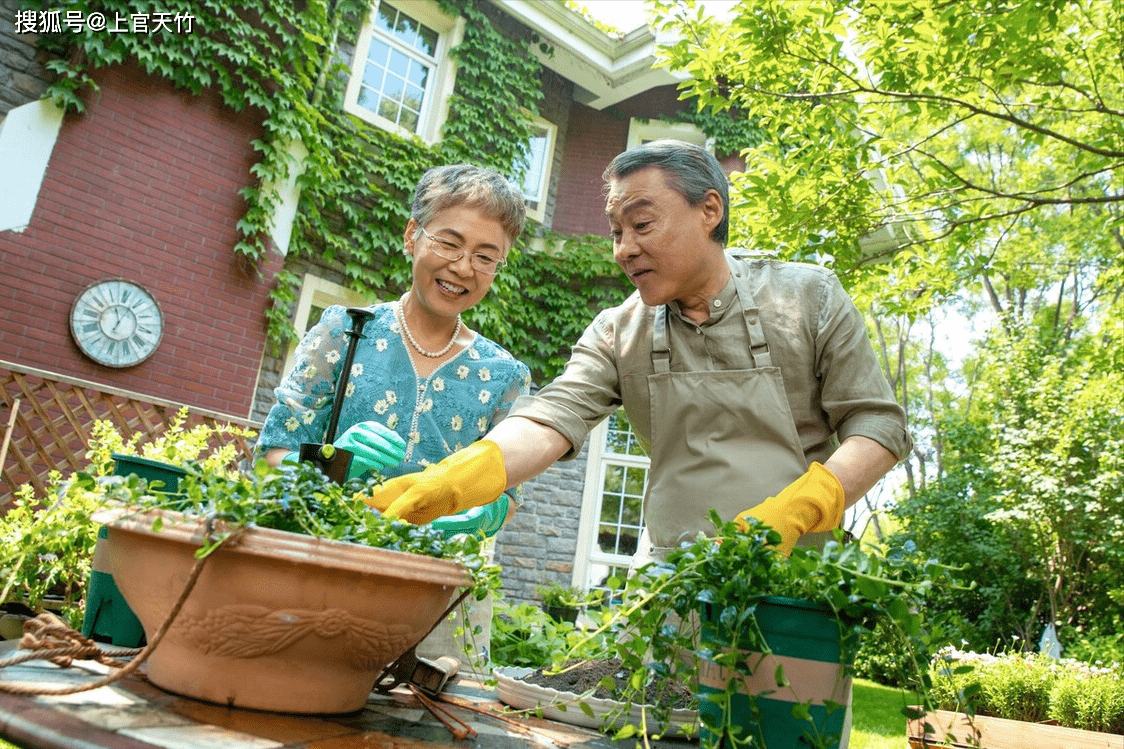 原创子欲养而亲不待拿钱给父母养老却凉了老人的心