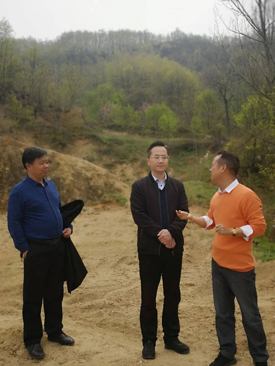 南召县委常委纪委书记梁志豪一行深入辛夷核心产区皇后乡实地调研