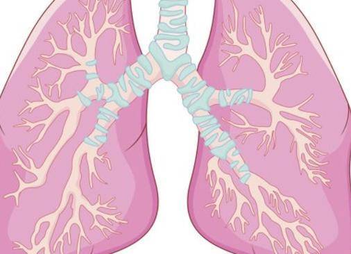 肺不好的人群，要多吃2种蔬菜2类水果，或可有助保养肺部