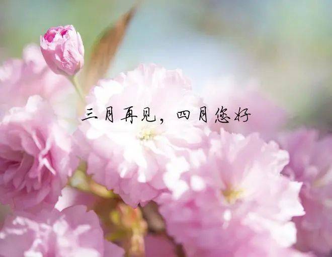 4月第一天早上好祝福语温馨短句最新版最美早上好问候语动态表情图片带字 阳光 亲爱的朋友 生活