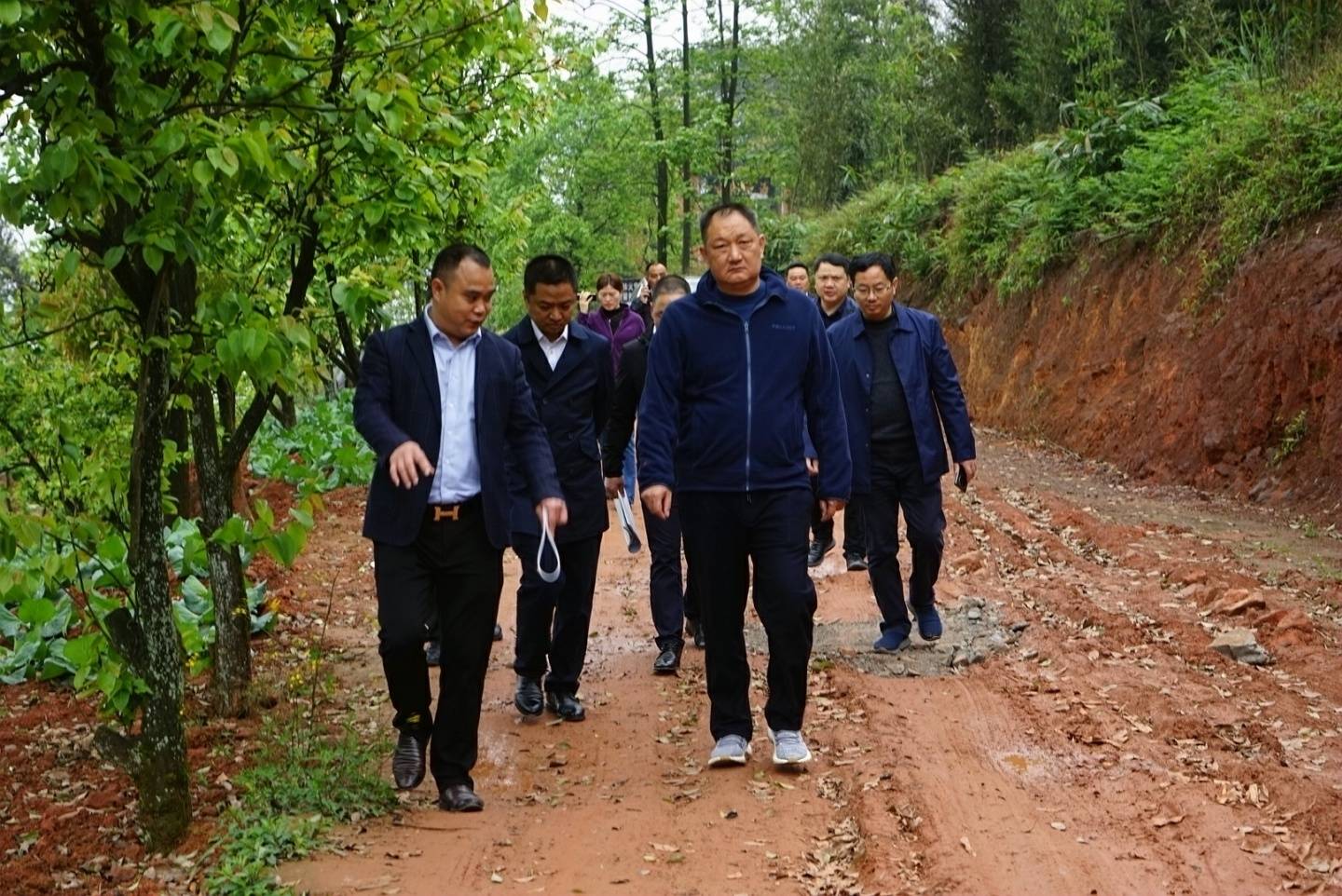 县委书记李仁军带队督察九支镇石顶山村森林防灭火,秸秆焚烧工作