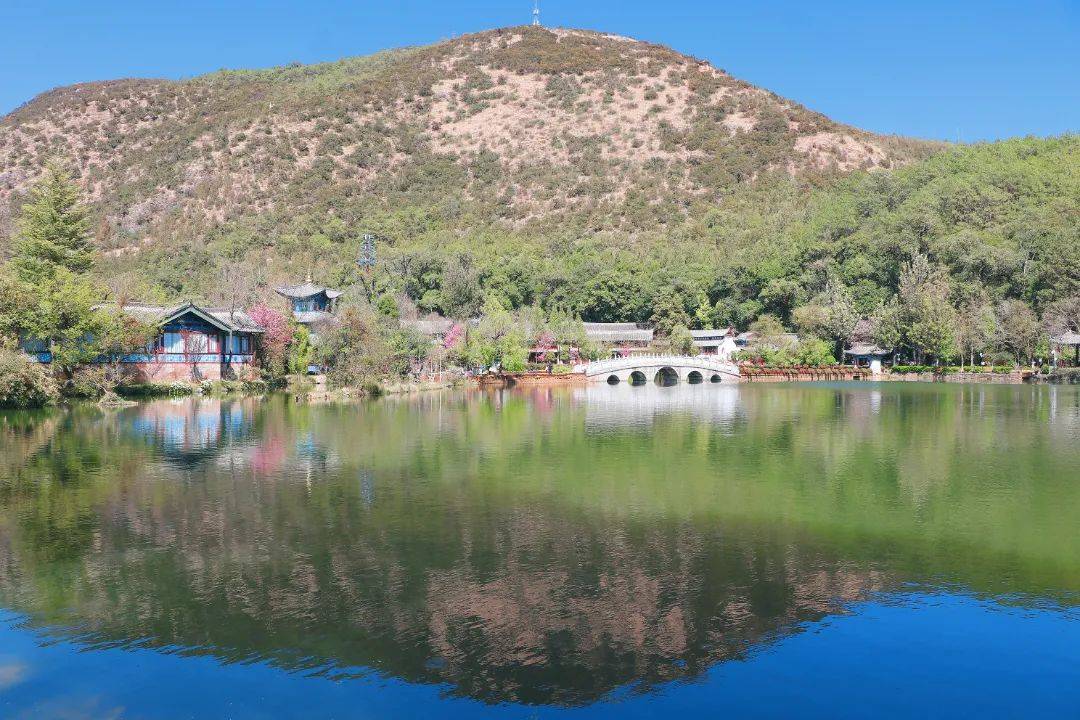 很是享受彷彿一幅畫,點綴了春天雪山,得月樓,五孔橋和黑龍潭相得益彰