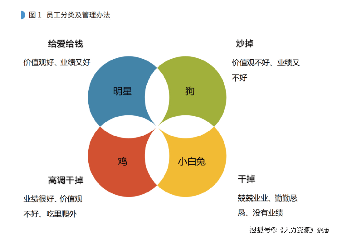 企业家,学会"狠"起来_罗睿_特质_性格