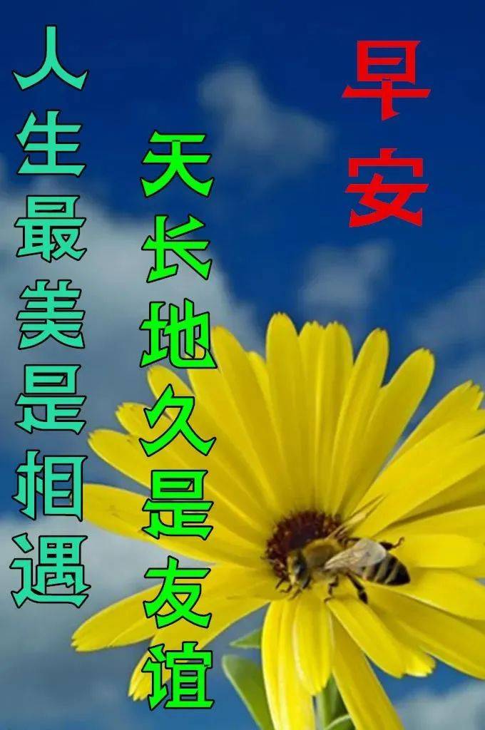 清風拂過忘憂草,發財小鳥為你叫,一路都是平安道,祝你早安心情妙,鴻運