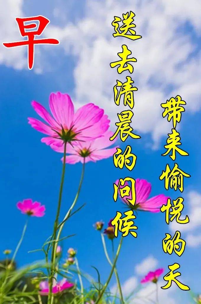 原创4月最新特漂亮早上好鲜花带字带祝福语最美春日早安问候祝福动态