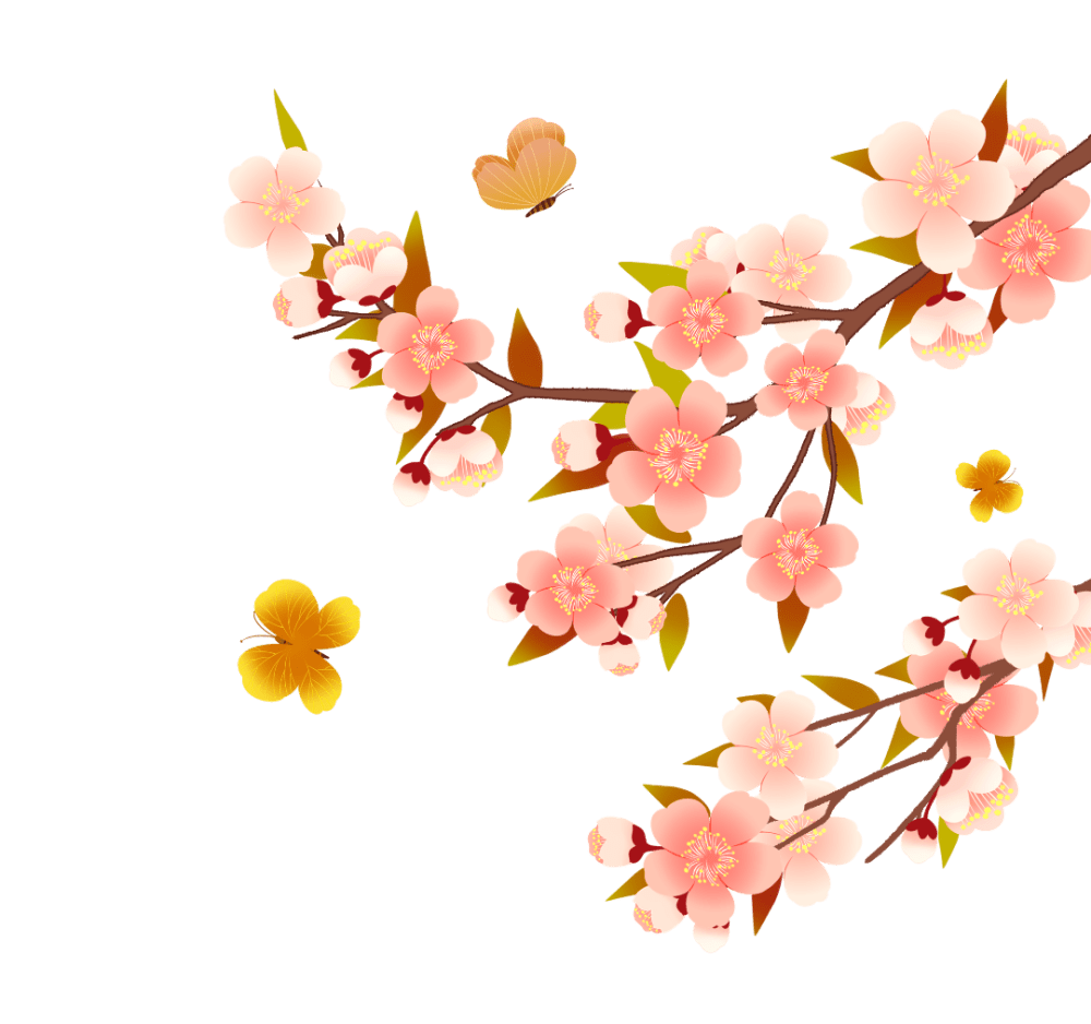 春风十里杏花开 玉巴达杏进入盛花期 海淀区 贡品 全国