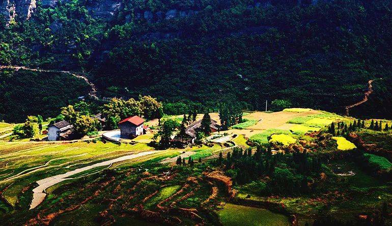 图|资料图片据相关人员介绍邻水县将依托千亩梯田逐步把泥汉坪村打造