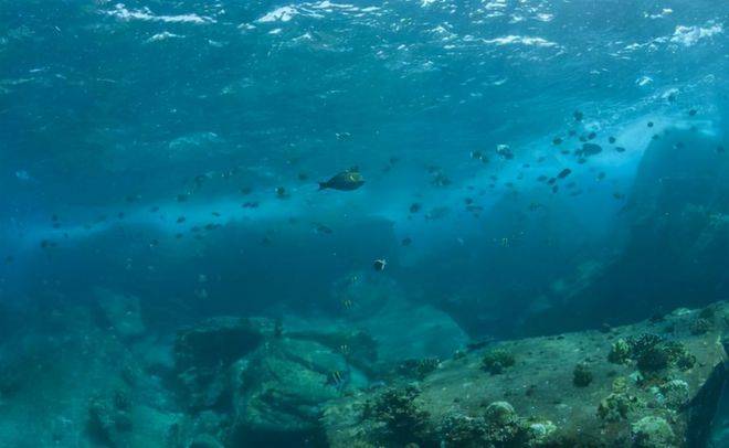 南海海底发现神秘“龙宫”，隐藏了400多年，到底居住的是谁？