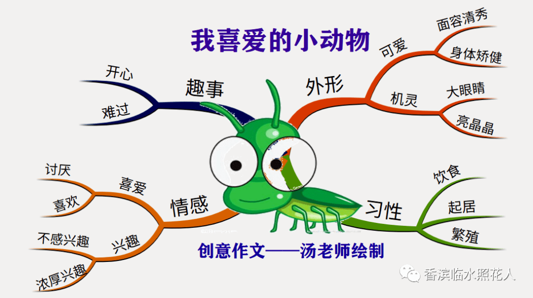 思維導圖畫作文我的動物朋友李承溪的我家的小蝸牛十五