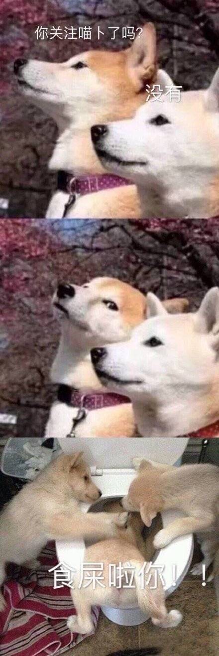 搞笑无厘头表情包