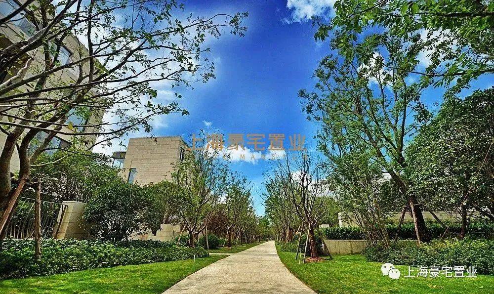 浦西第一豪宅 古北壹号 建面681平楼王1点8亿 259平5500万