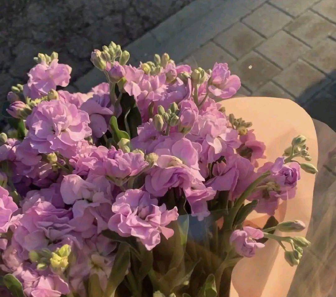 朋友圈致自己的句子,温馨唯美,很喜欢_生活_因为_掌纹