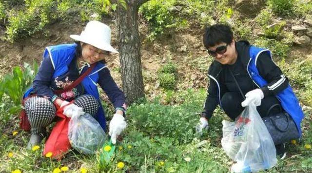江苏南京 为挖野菜 竟然到有轨电车轨道里挖 这野菜吃的不健康 危害 食物 身体