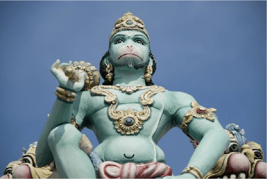 印度猴神哈努曼雕像为什么印度政府不用枪来消灭猴群,而是采取这种