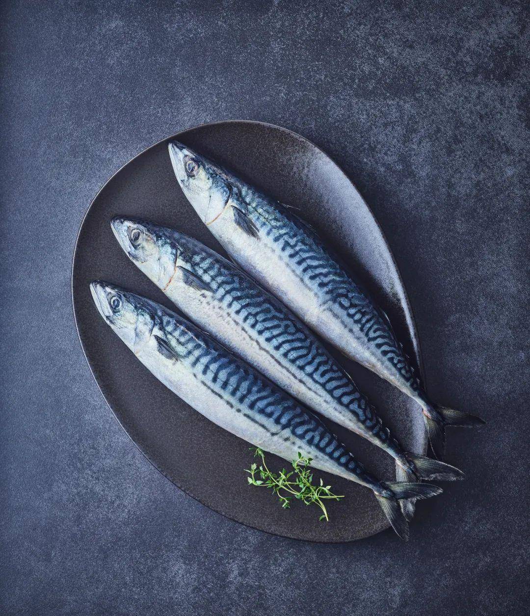 原创干煎脆皮挪威青花鱼不放油轻调味很健康烧烤的最高境界