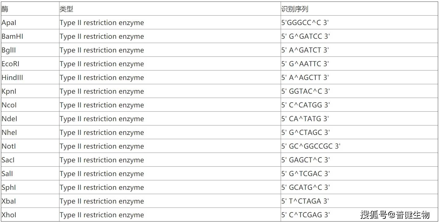 小普课堂三十七常见限制性内切酶识别序列酶切位点