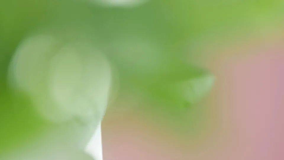 国家推动废旧家电回收行动,为何美的能抢夺头筹？-家电圈官网