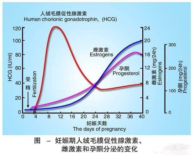 原创孕酮低代表胎儿发育不好千万别太早下结论