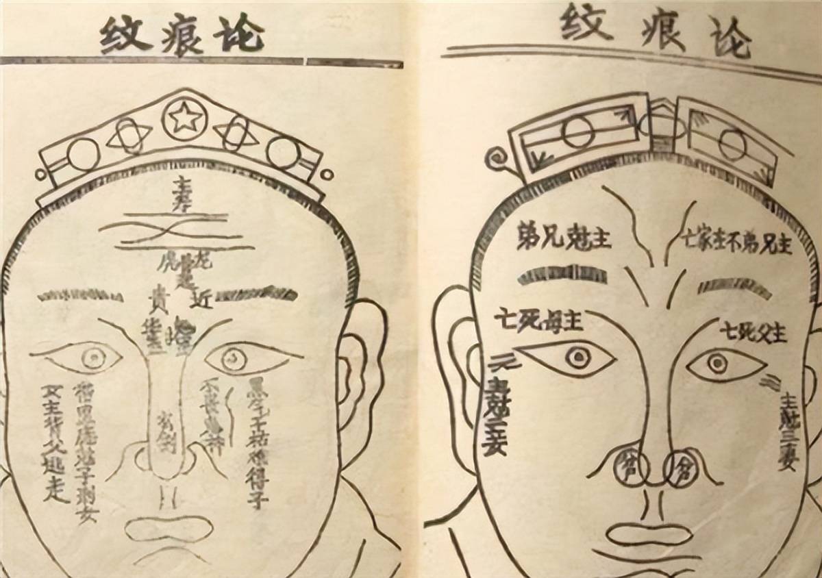头生九龙骨早晚必显贵九龙骨是啥老祖宗说的有道理吗