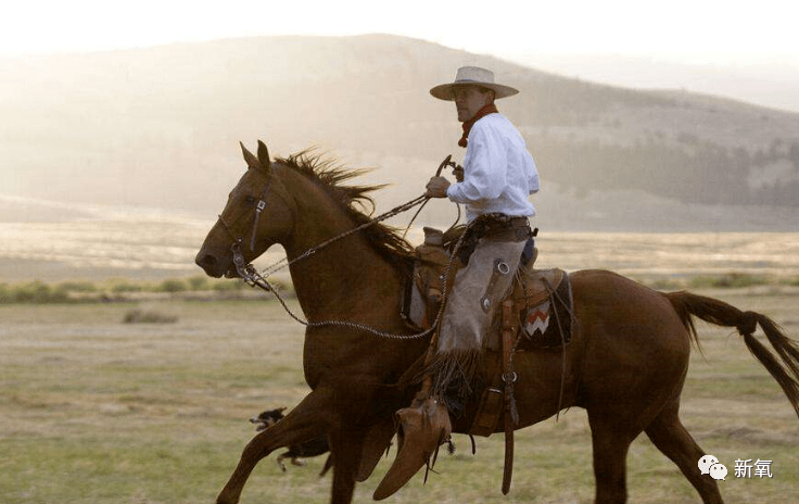 欧美国家更是有西部牛仔文化,"马背上的英雄"指的就是他们.