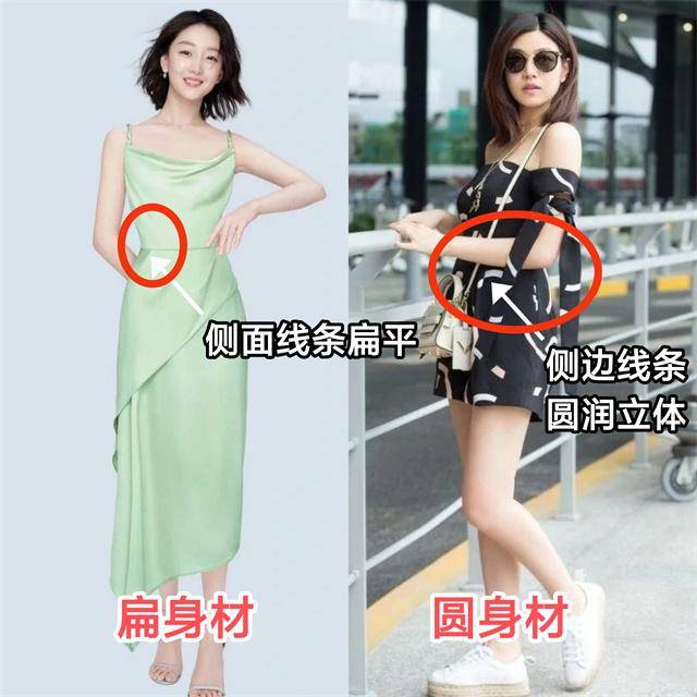 就是身材的圆润和扁平程度,这里我们称作圆身材和扁身材