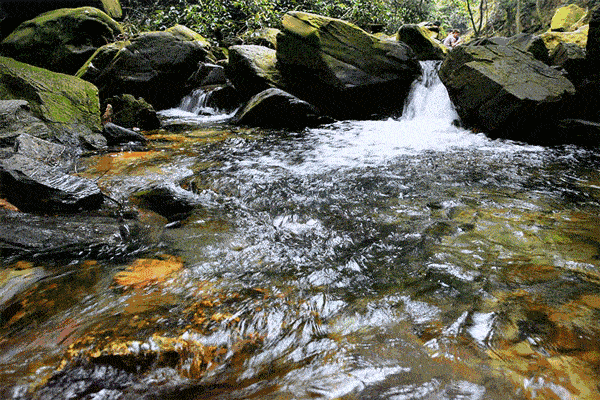 十二生肖4月12日五行运气日报_属相_情况_爱情