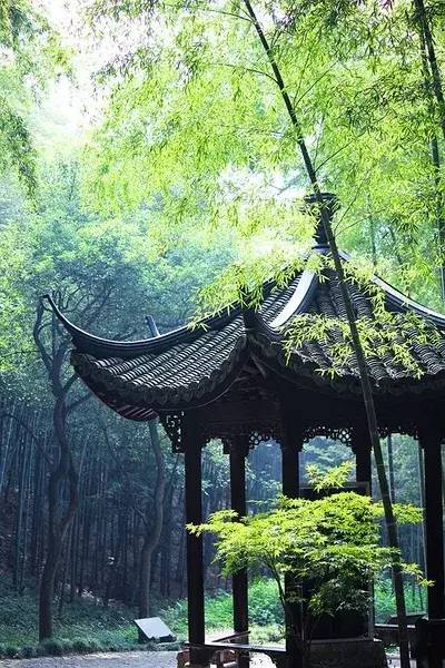 曲径通幽处:中式园林的回廊曲径_空间_中国_自然