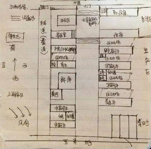 小型牛棚设计图图片