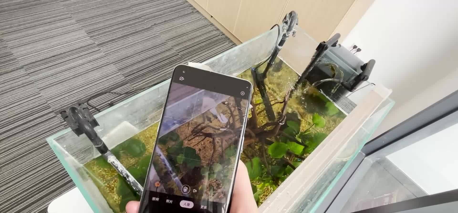 手机掉水里不捡反而玩起来论一台手机防水的重要性