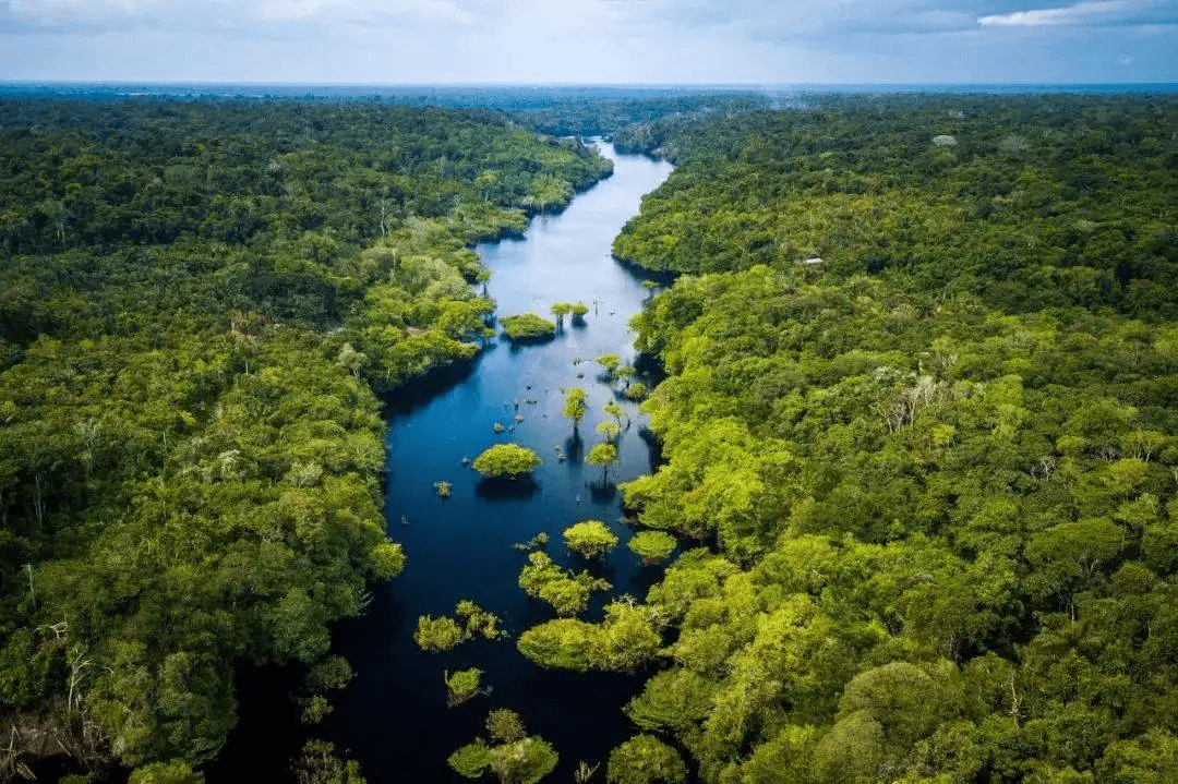 亚马孙河热带雨林图片