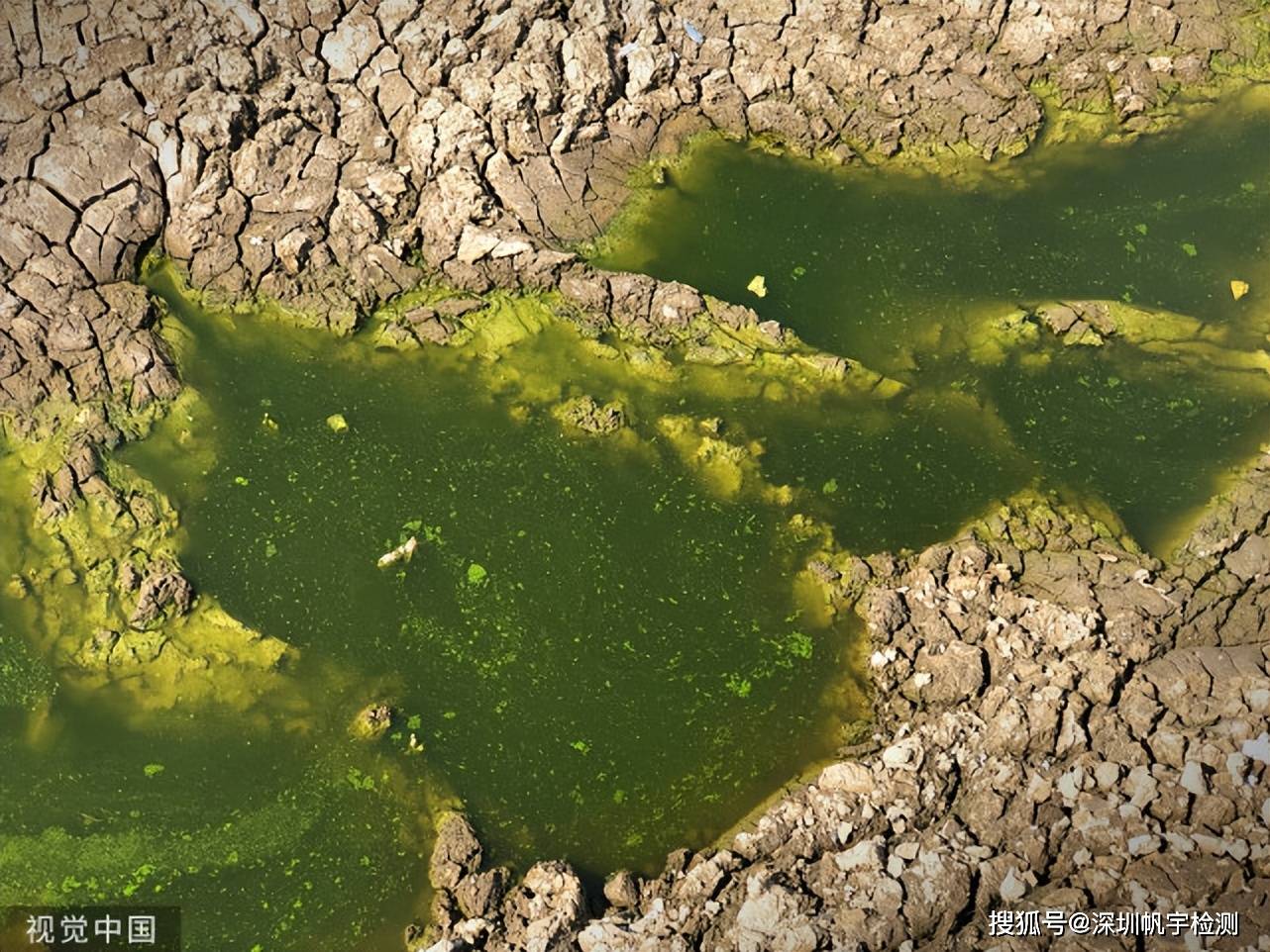 原创废水中的污染物有哪些种类