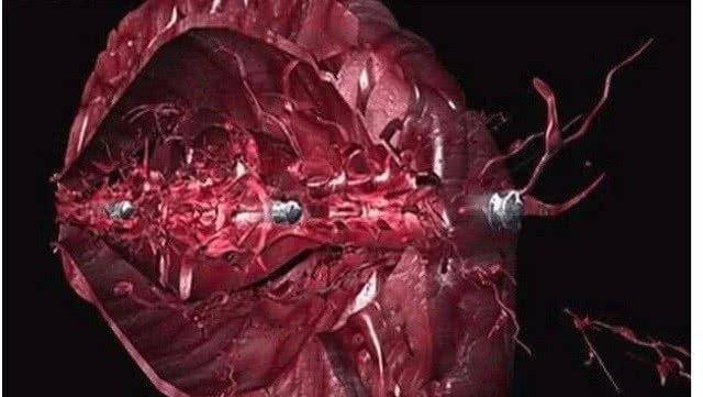 现实和电影差别很大_伤害_达姆弹_电视剧