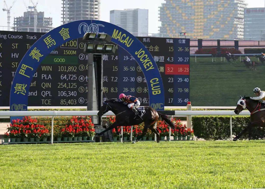 马主联盟澳门霸气夺冠不负众望名震两岸
