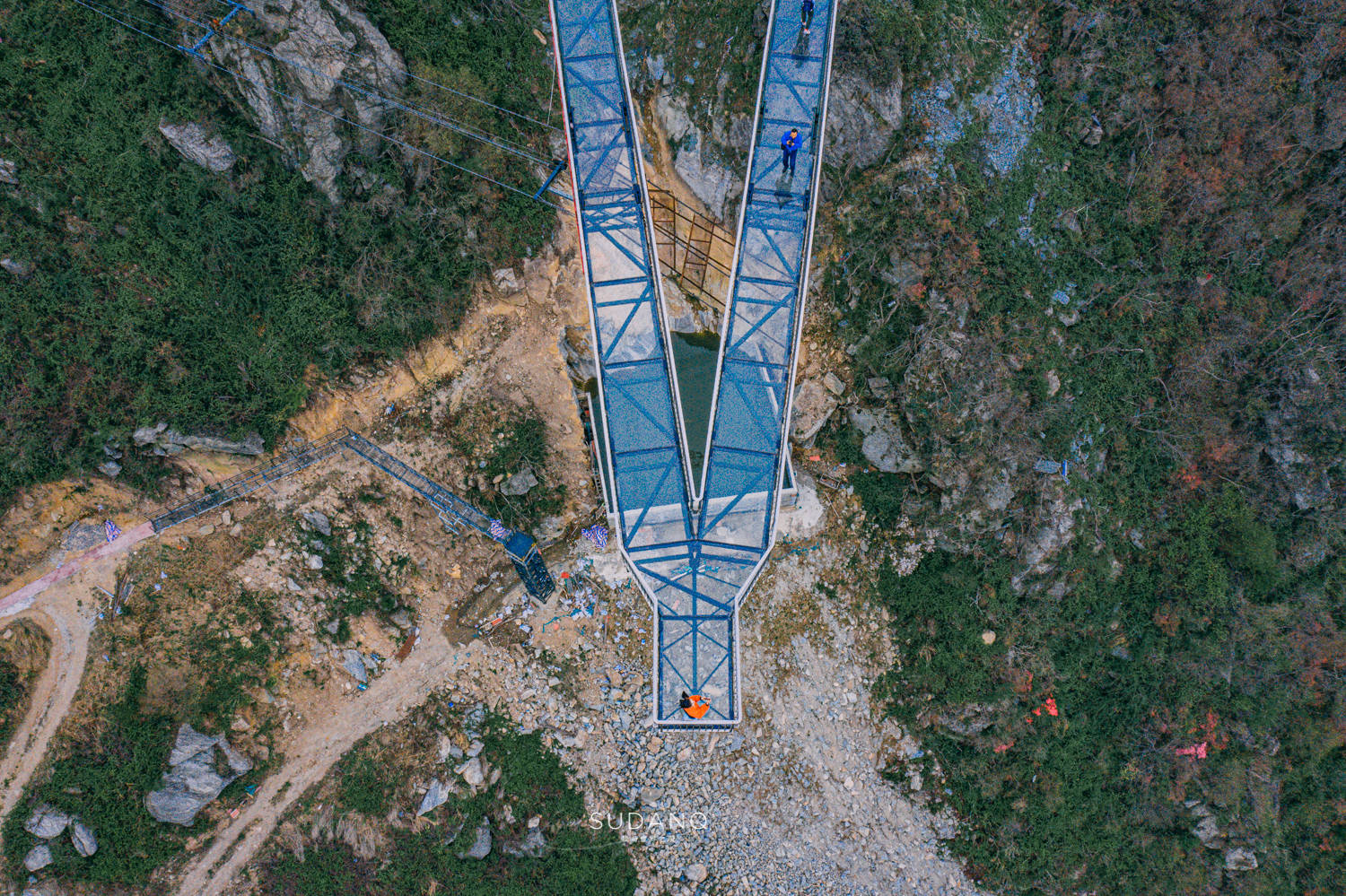 原创武汉四月赏杜鹃海拔709米的武汉之巅为何会打破世界纪录