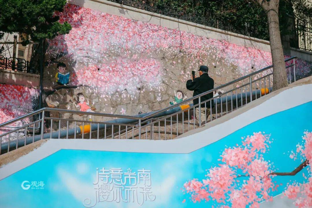 "樱樱樱樱樱~~"百年樱花会,今朝再相会!_青岛_粉色_世纪公园