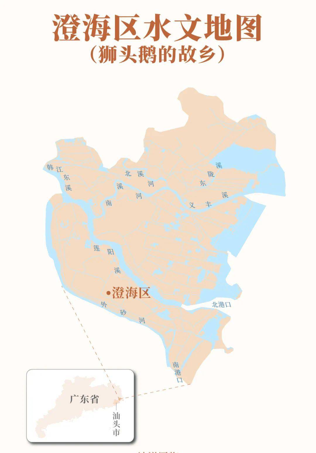 是卤鹅味!_狮头鹅_摄影_澄海区