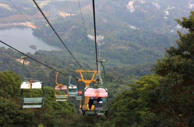 廣東尷尬的5a景區,門票50,卻被遊客吐槽:像個森林公園_羅浮山_嶺南