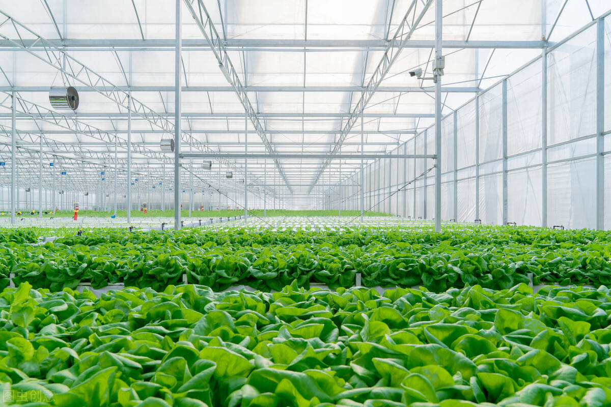 占据北方半壁江山的冬暖室蔬菜大棚咋样低成本升级智能棚