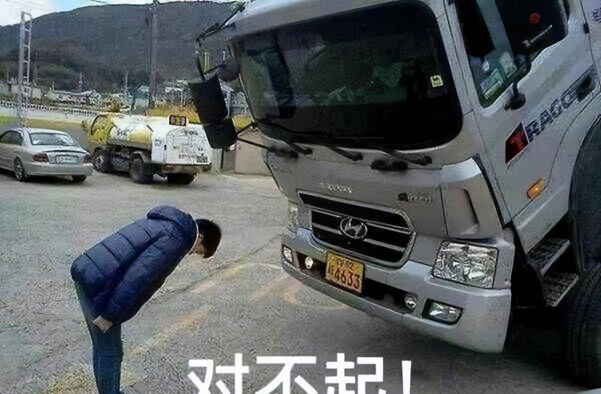 他真转视频号,油管趣闻频道神奇又有趣的折纸一招送走猫头鹰是我没错